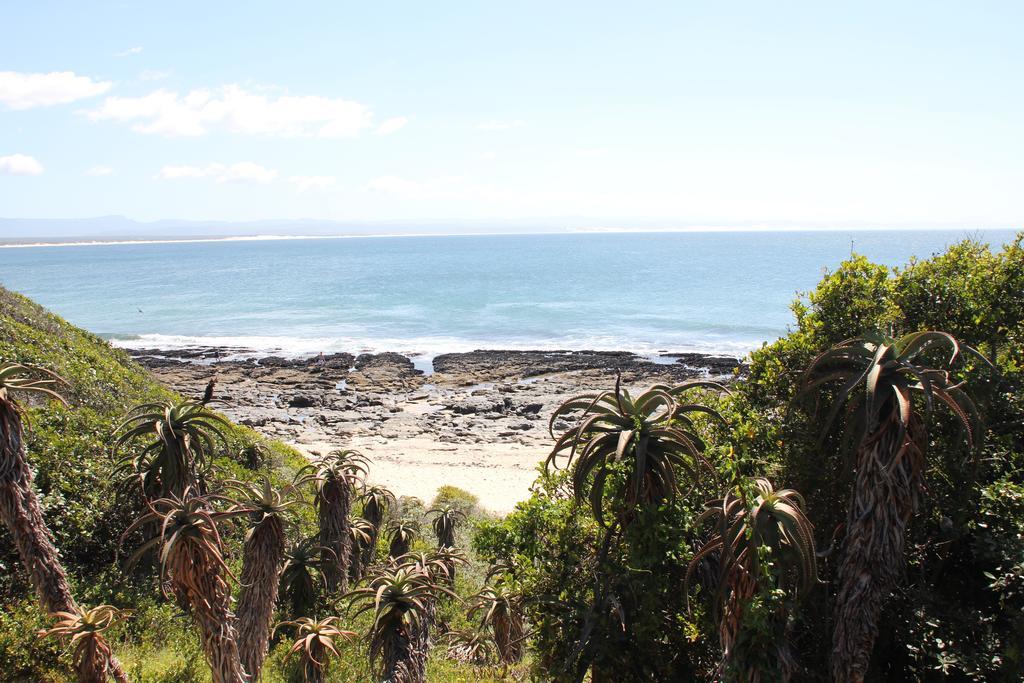 Shack On Supers Villa Jeffreys Bay Kültér fotó